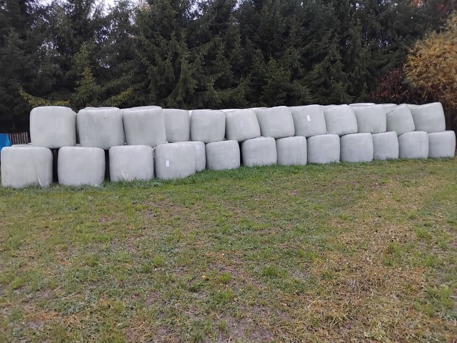 Bele sianokiszonki lucerna koniczyna trawa nie siano słoma