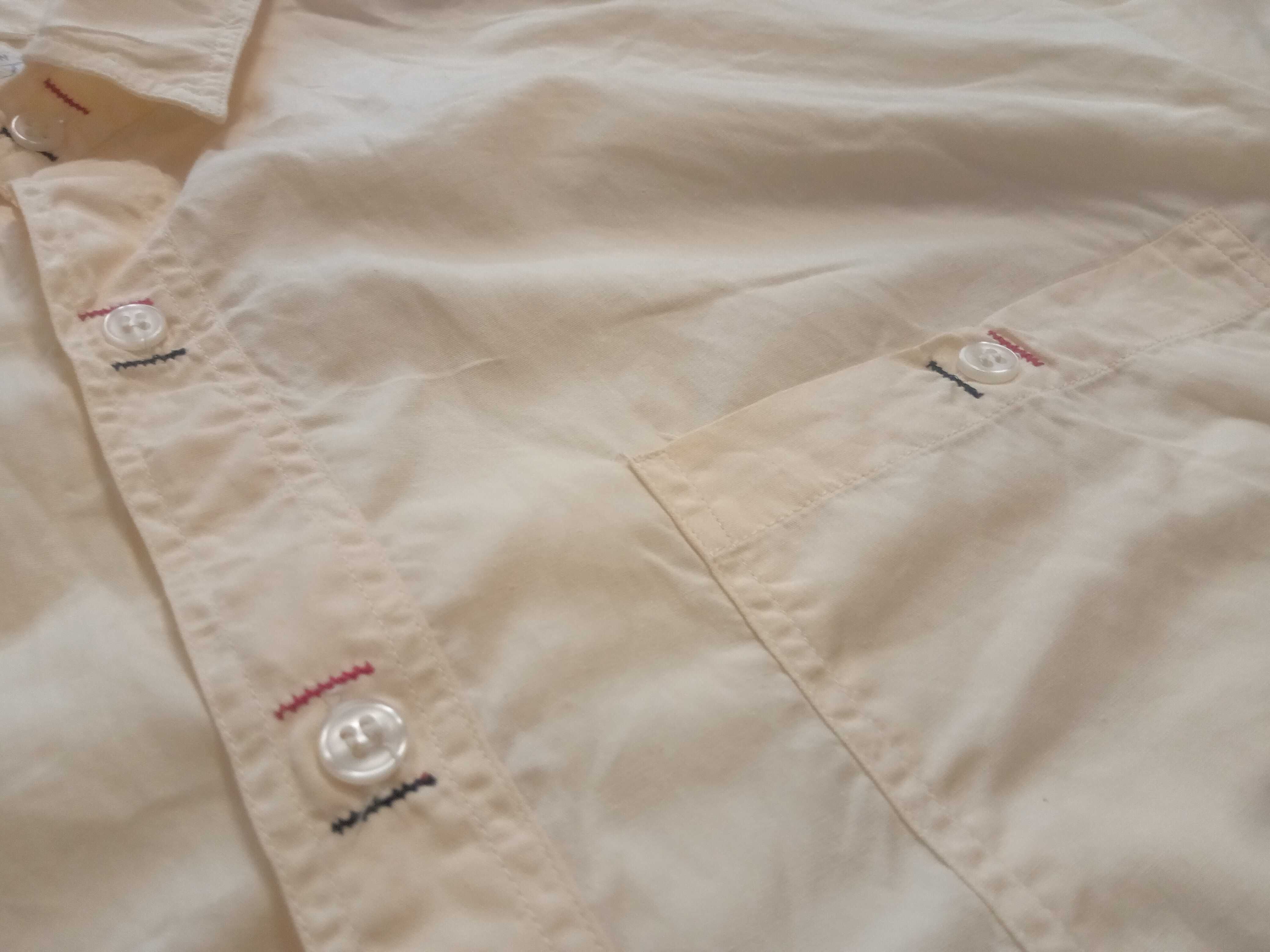 Cicerone Company żółta koszula L XL XXL jasnożółta