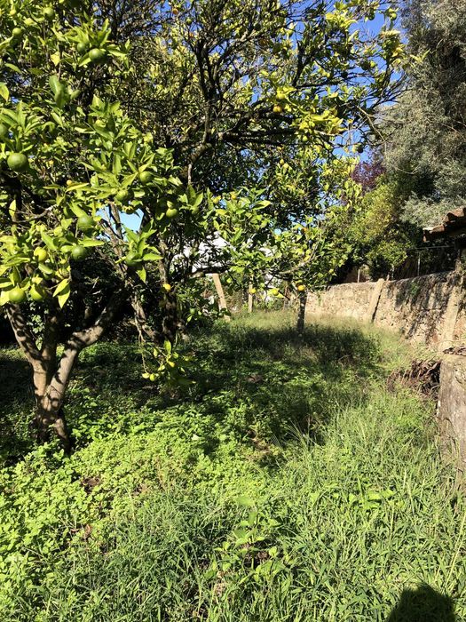 Moradia para venda em Barroselas