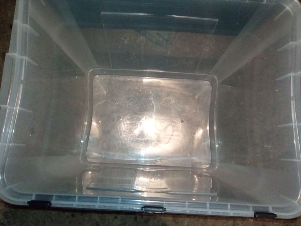 duży pojemnik plastikowy dragonbox 100