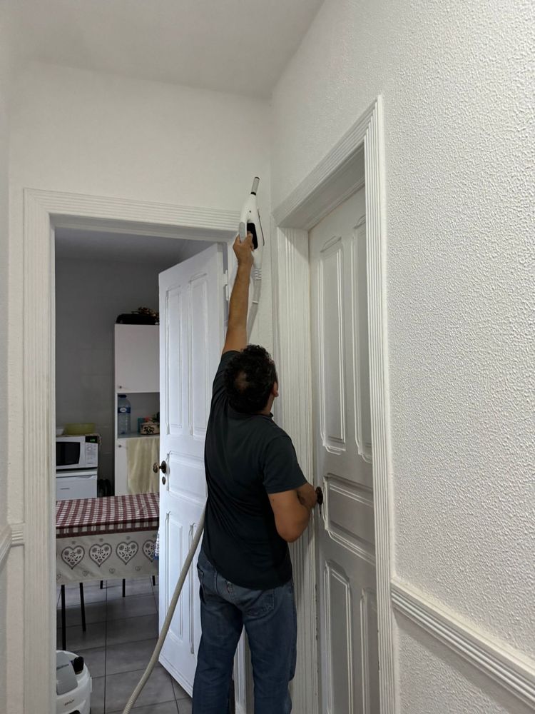 percevejos e baratas todo tipo de insetos