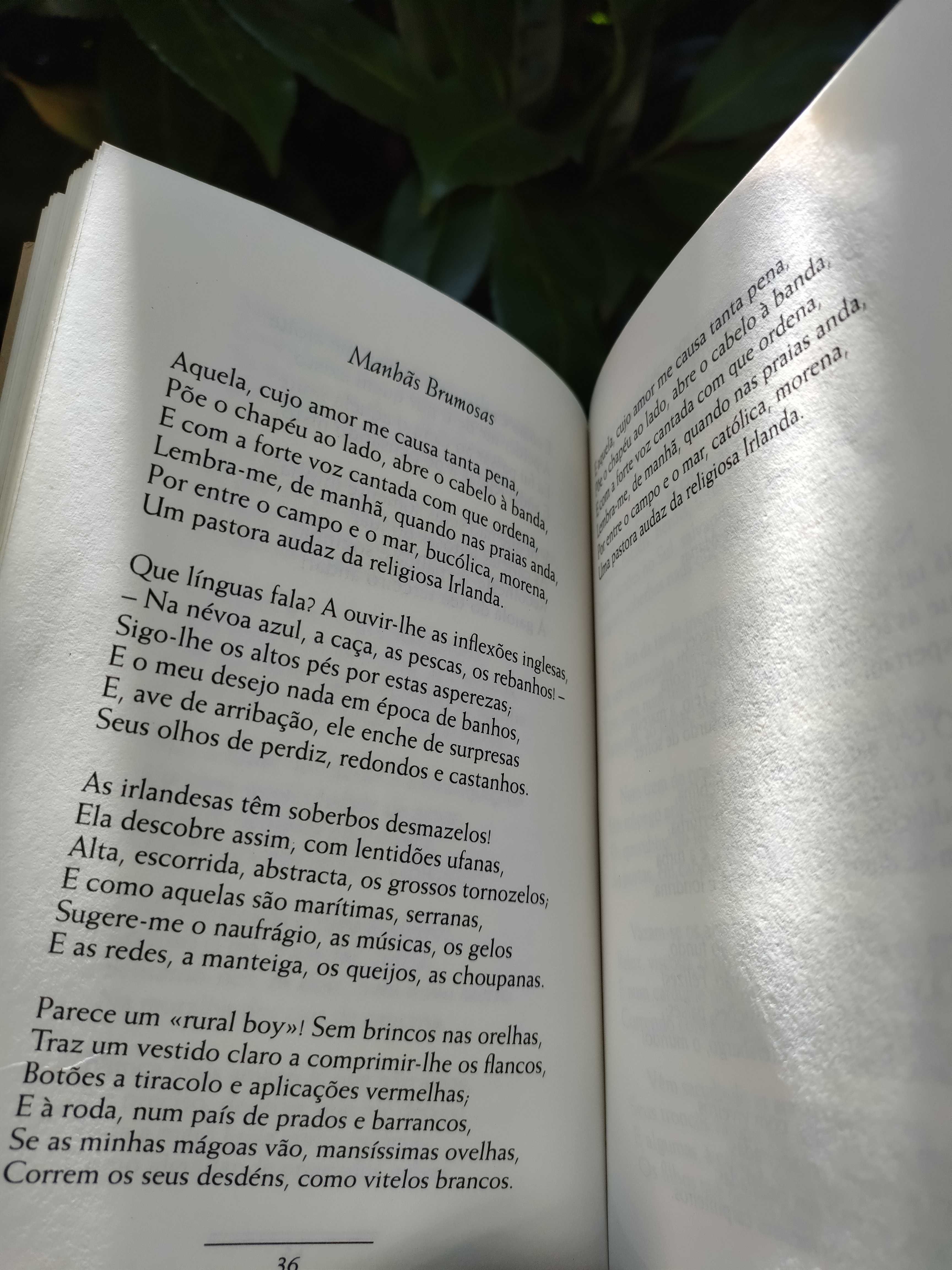 Pequeno Livro (Cesário Verde) - Poesia