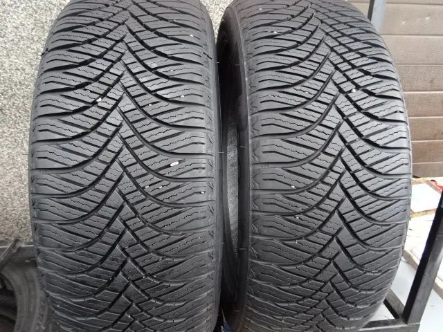 205/55/R17 95V Extra loud Goodride All Season Elite Z-401