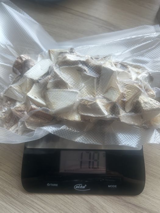 Białoporek brzozowy suszony 160g