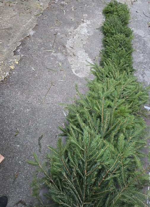 Brama weselna z chojny na metry