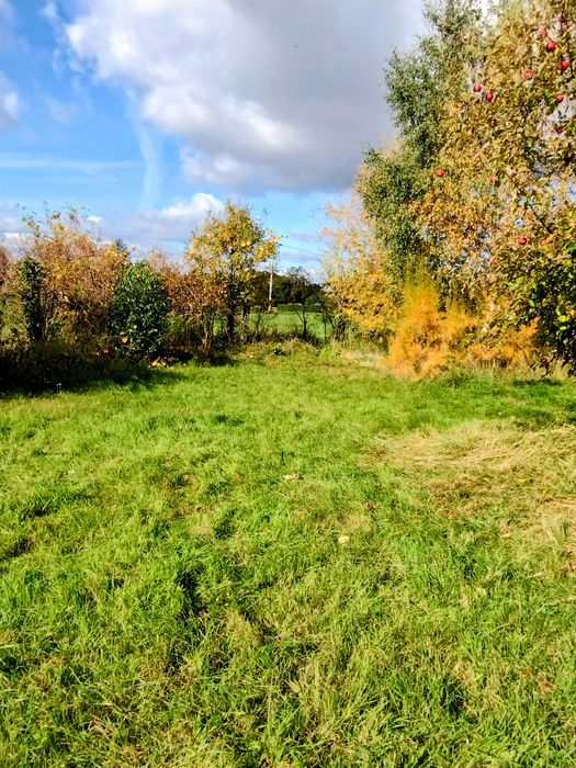 Dwie działki ogrodowe ROD z widokiem na łąkę