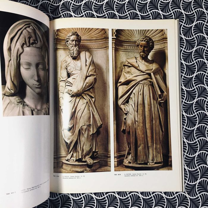 L'Opera Completa di Michelangelo Scultore