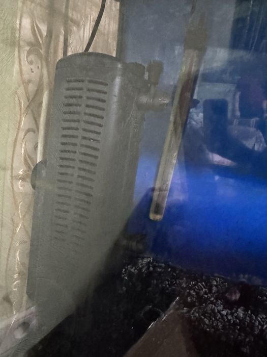 Акваріум 160 літрів