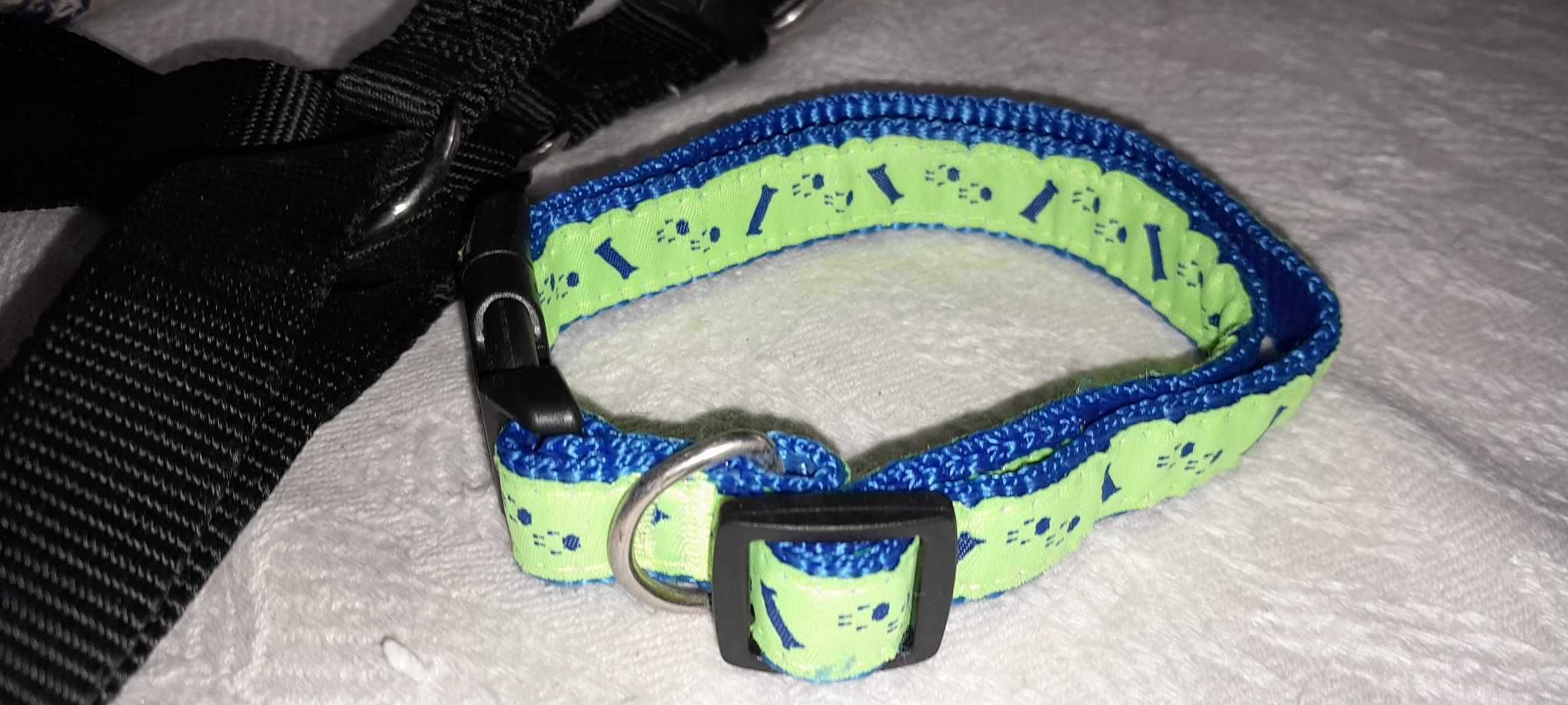 Conjunto para cão XL