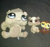 Maskotki pet shop