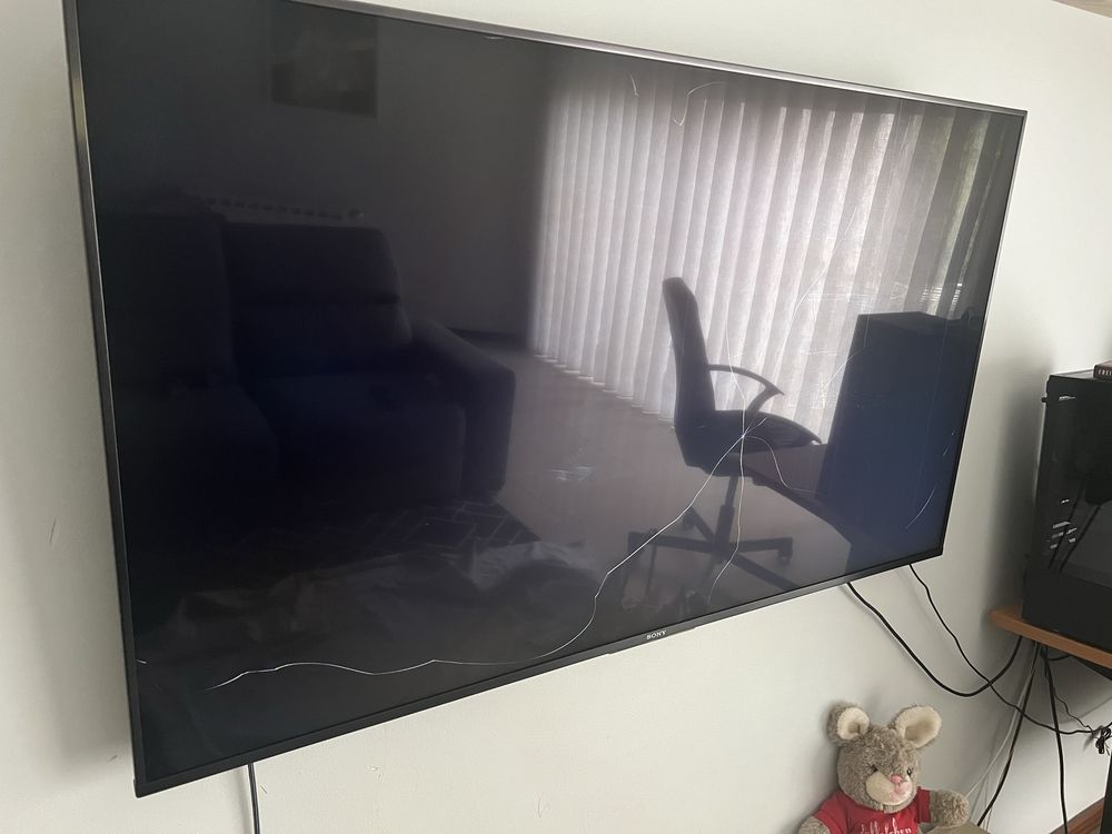 Sony KD55XF8596 55" LED UltraHD 4K (display danificado)