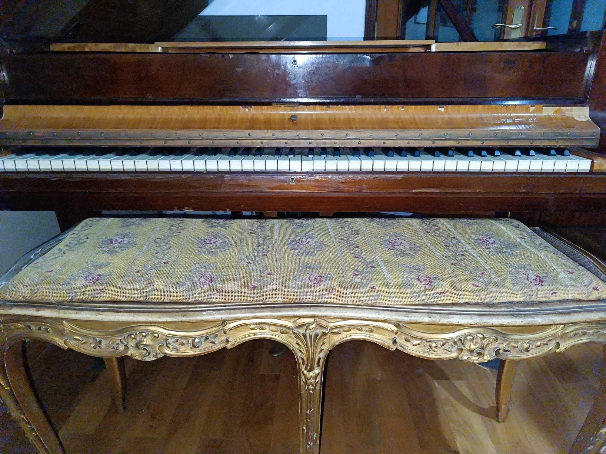 Piano Antigo de Cauda Gabriel Gaveau 1911