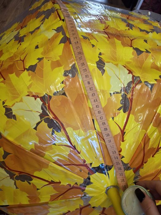 Прозора парасолька з куполом грибком і кленовим листям