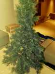 Árvore de Natal - Bom estado