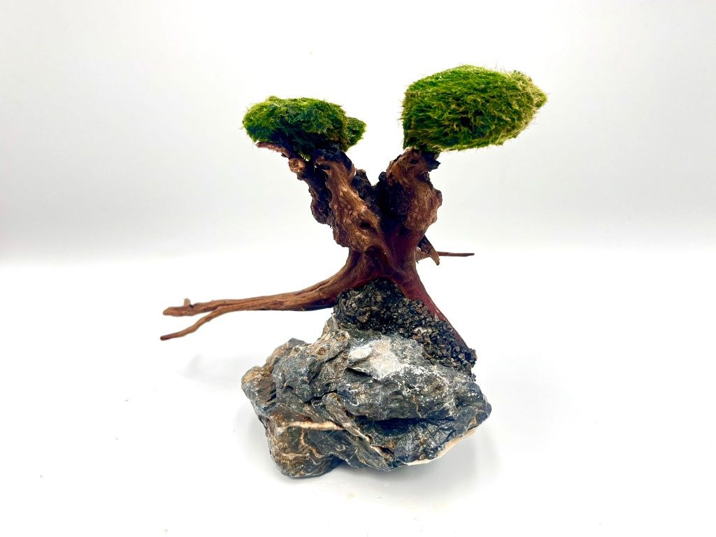 Piękna Aranżacja Kompozycja Do Akwarium Drzewko Bonsai