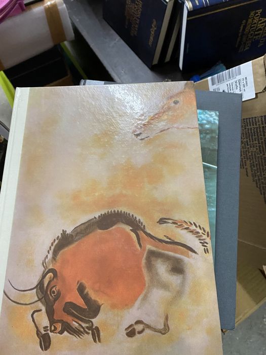 Coleção de livros - Grandes enigmas do homem