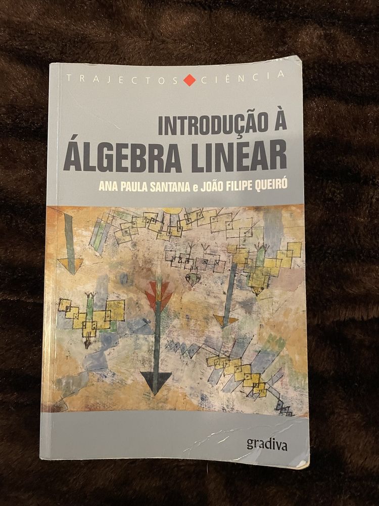 Livro de Introdução à Algebra Linear