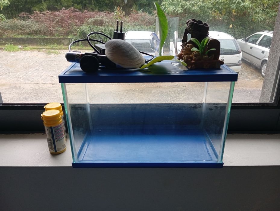 Aquário + acessórios