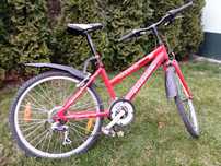 Author ultima 24''