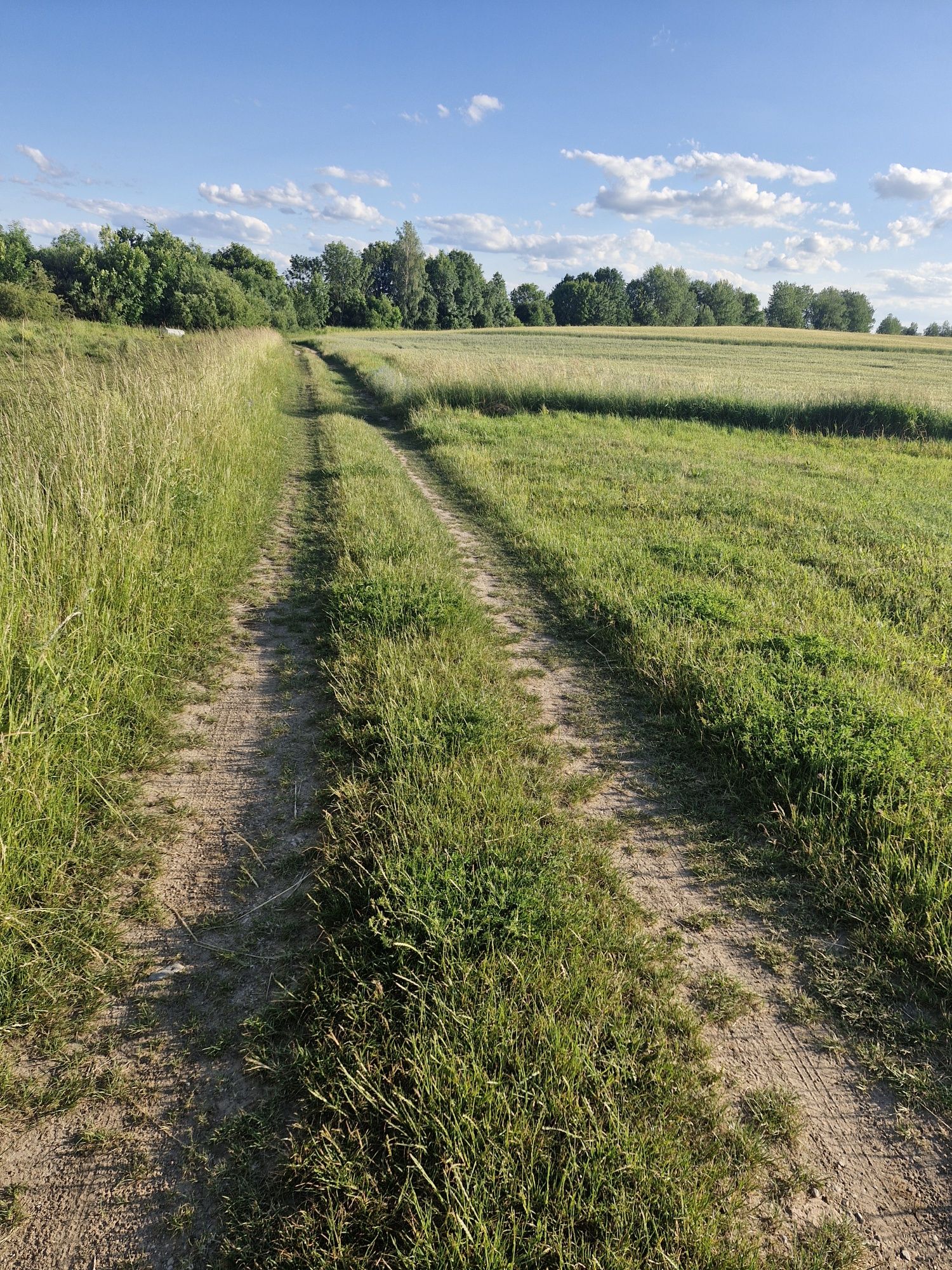 Działka  na sprzedaż w Bogaczewie