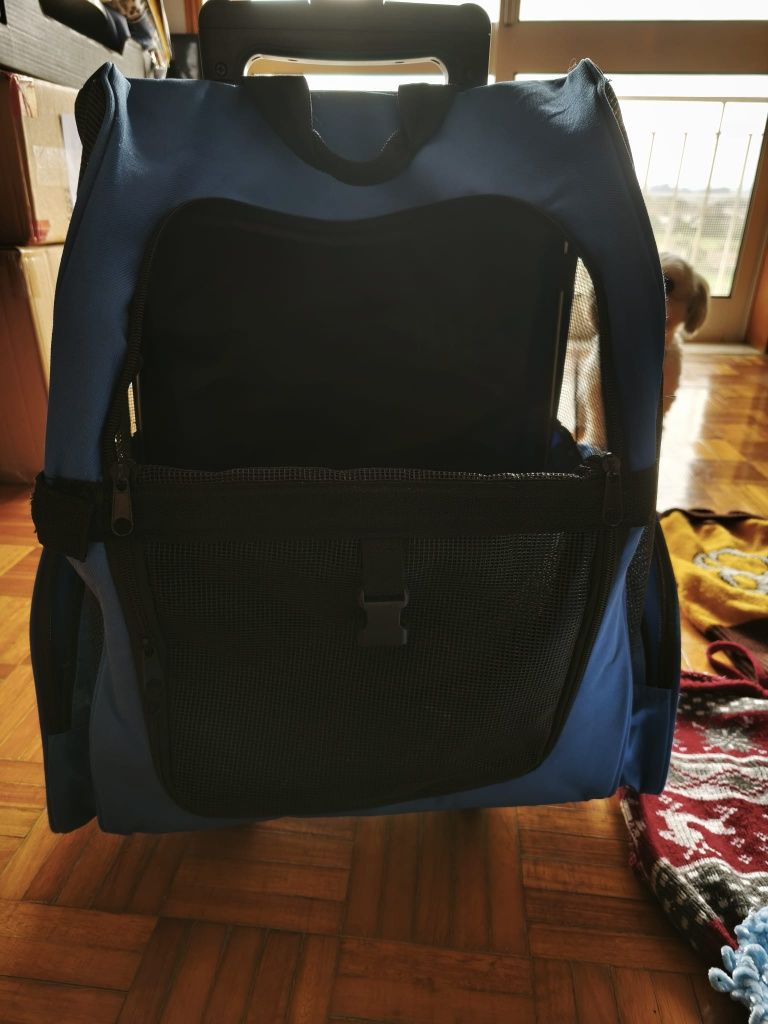 Kit para cães com 19 peças