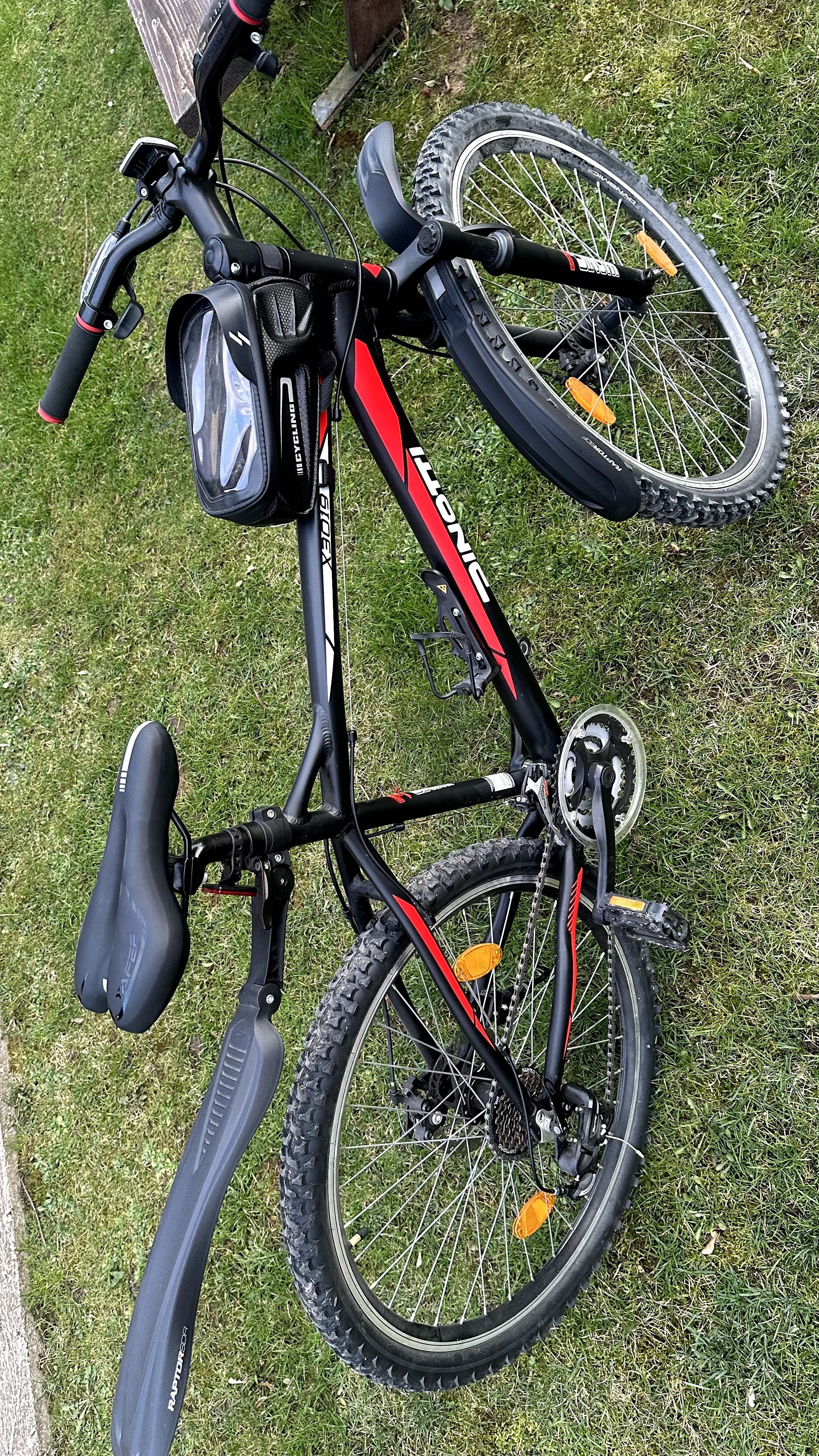 Rower Dinotti X3019