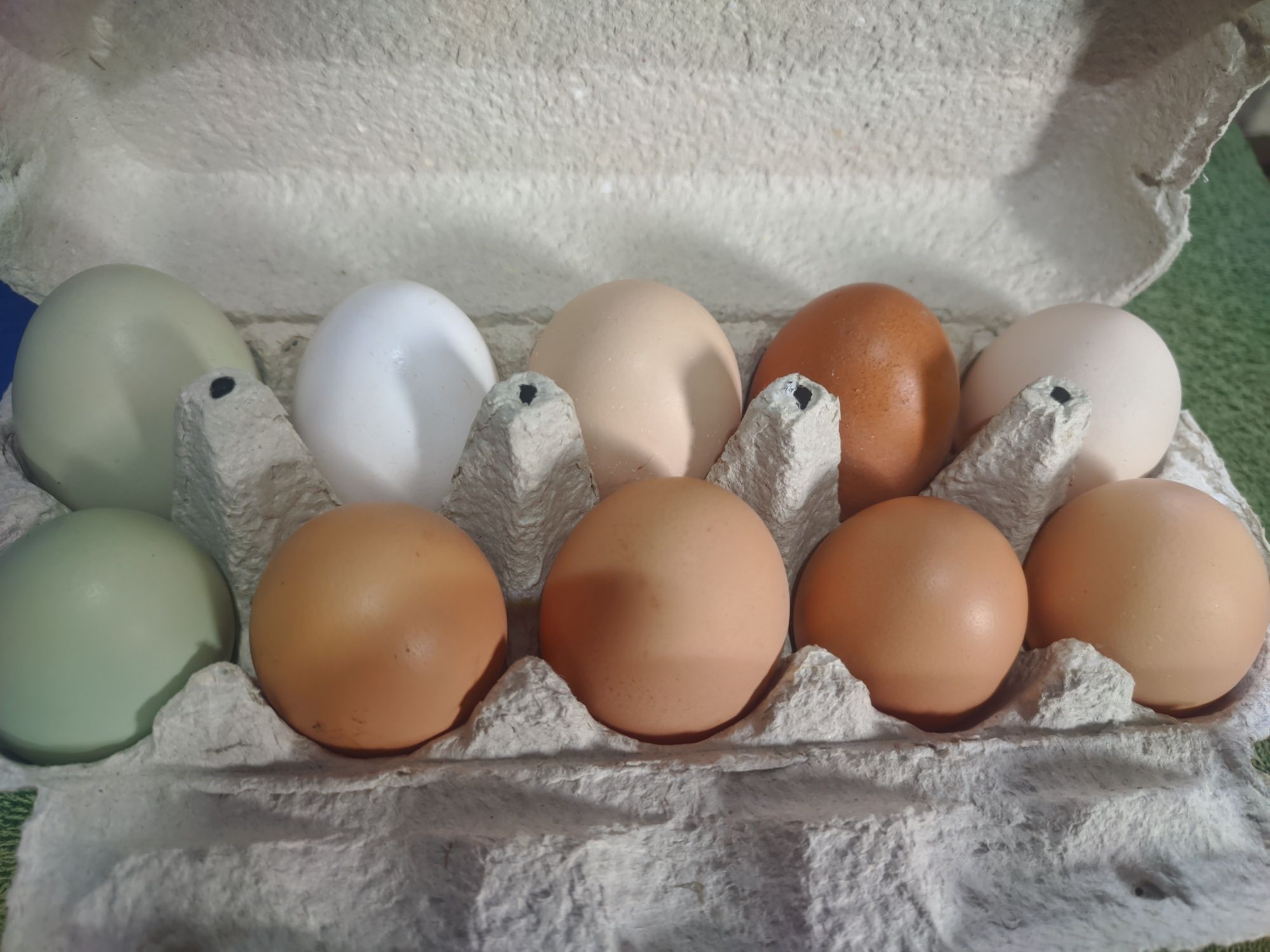 Продам яйця домашні