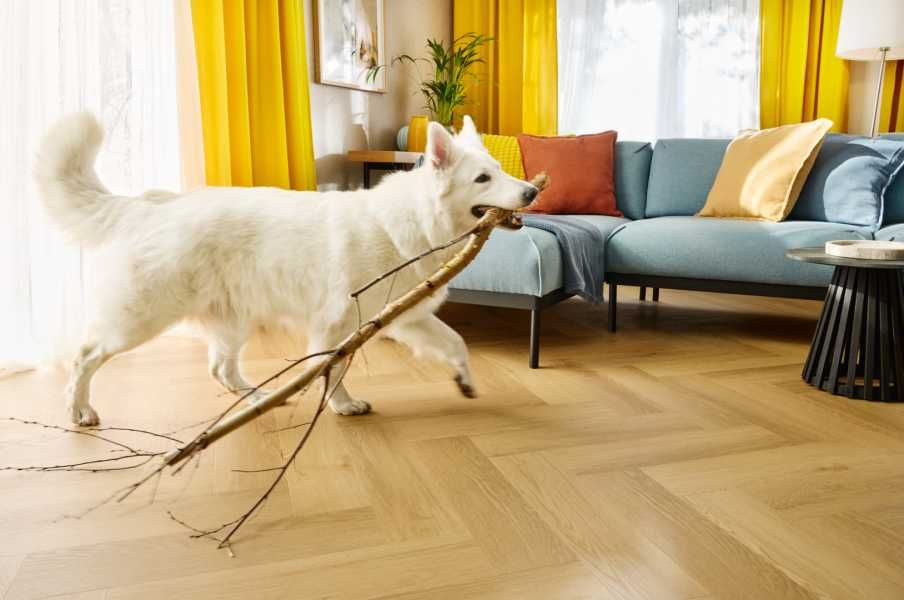 Dąb Menor CAS 223 Klasa 33 5 Amaron Herringbone EIR Arbiton HIT CENOWY