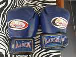Luvas couro azul Raja Boxing