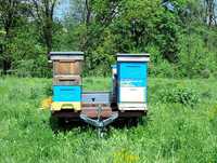 Platforma do transportu pszczół, do przewozu uli