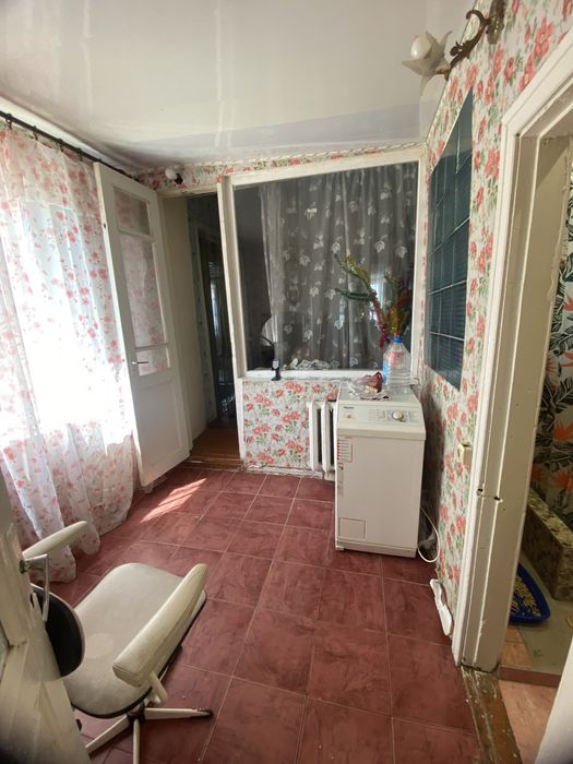 Пролам копитальеый дом