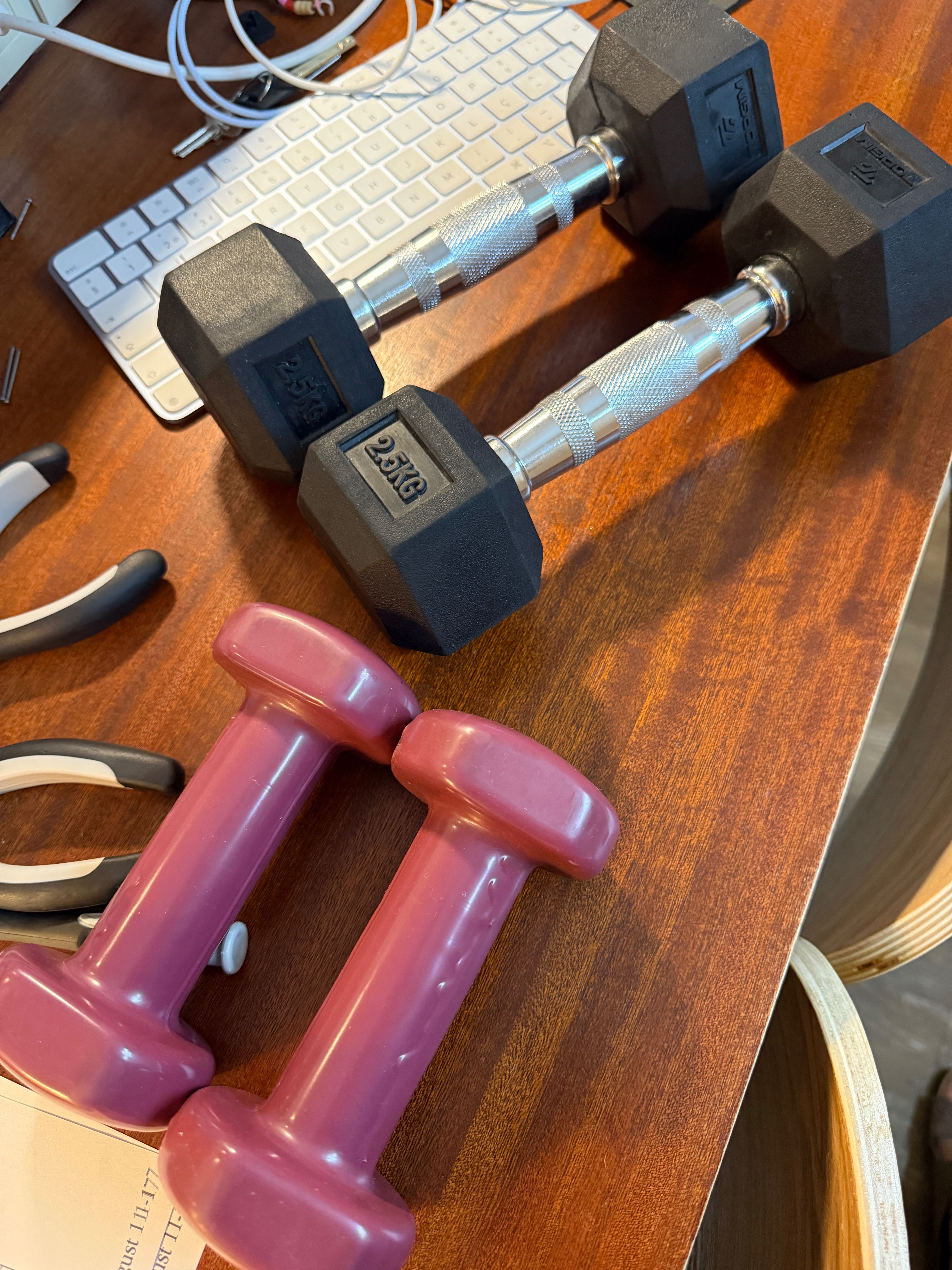 Pesos Decathlon/Top Gym (1,5kg; 2.5kg)
