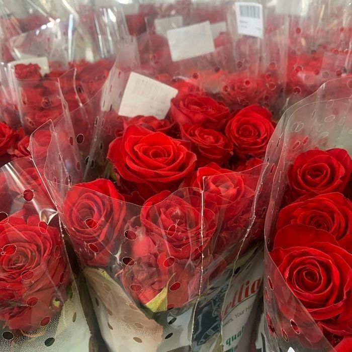 Служба доставки  цветов по Харькову. Роза от 15 грн