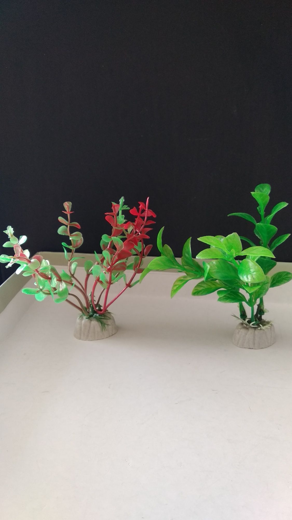Sztuczne rośliny do akwarium