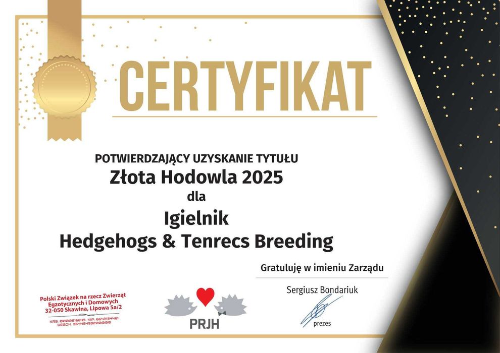 Jeżyki, Jeż pigmejski,  jeże pigmejskie, rodowód i książeczka zdrowia