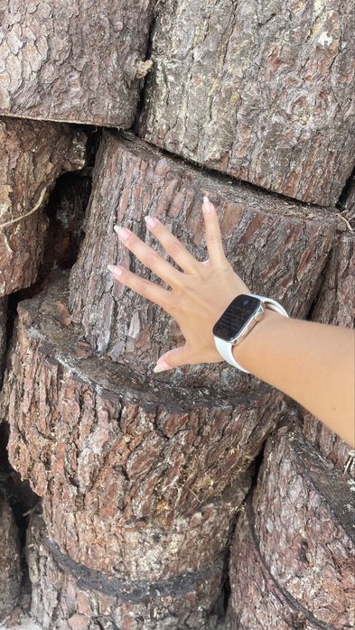 Lenha para lareira - Madeira seca - pinho pinheiro