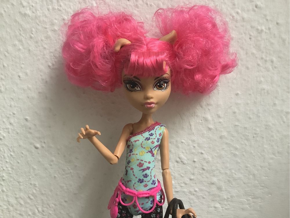 Lalka Monster High Howleen Wolf Dance Class MH