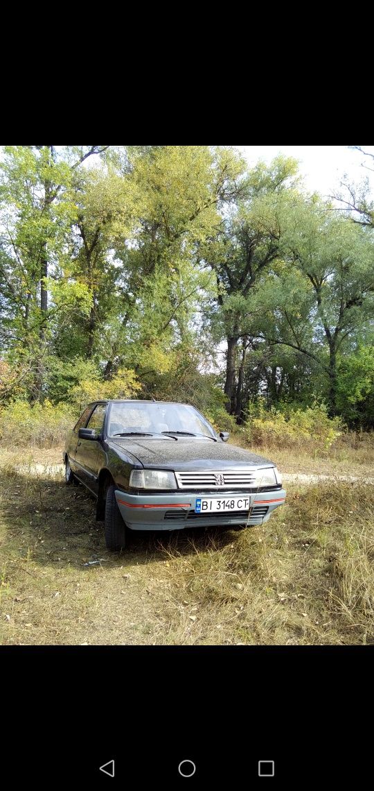 Пежо 309 (Peugeot)