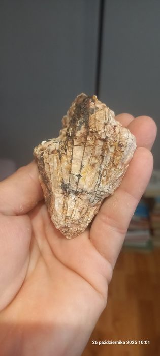 Minerały skamieniałości baryt, goethyt