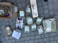 Zestaw karmy, sianka, ziół i trocin dla świnki morskiej