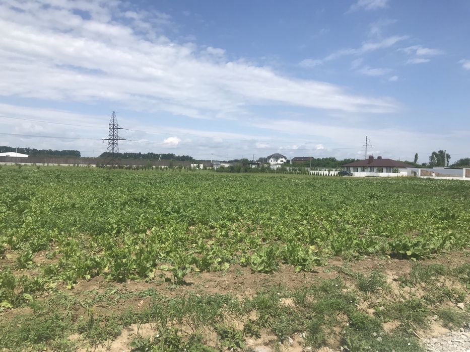 Продам 10га фасад, комерція ,с.Крюківщина