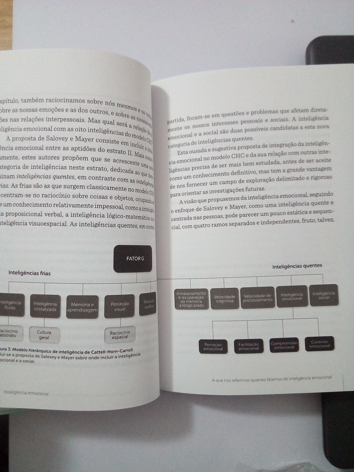 Livro Inteligência Emocional. Auto Ajuda