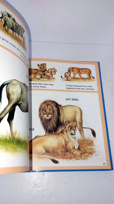 Dicionário de Imagens dos Animais