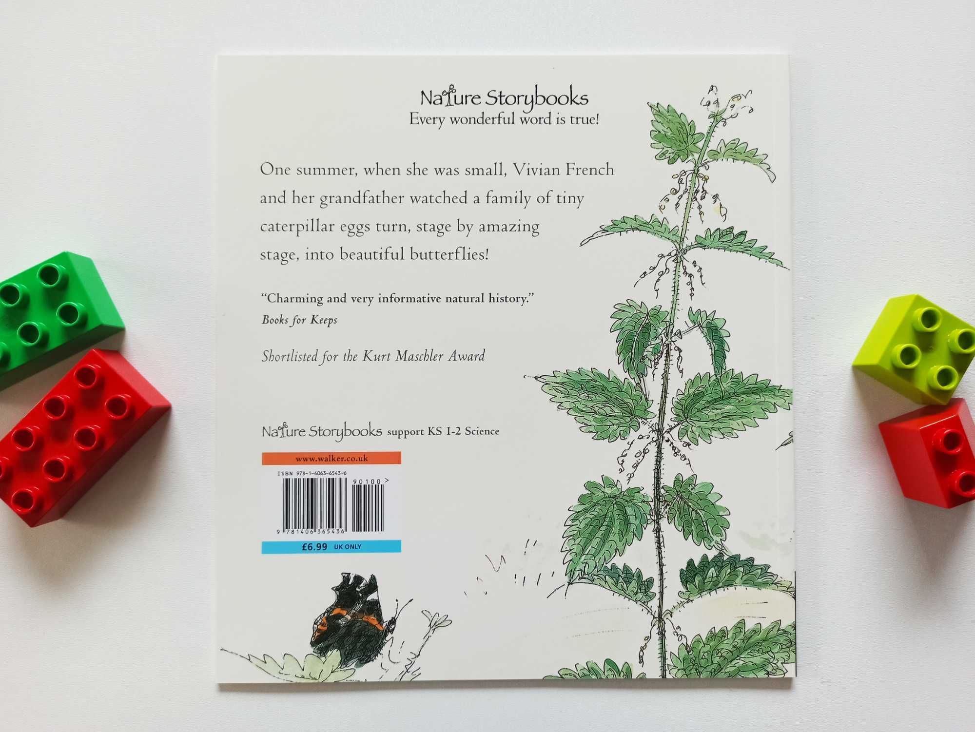 Caterpillar butterfly książka angielska z audiobookiem mp3