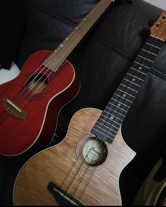 OPOLE Zajęcia gry na ukulele/gitarze