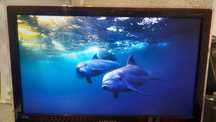 Монитор 23" Samsung BX2335 LED