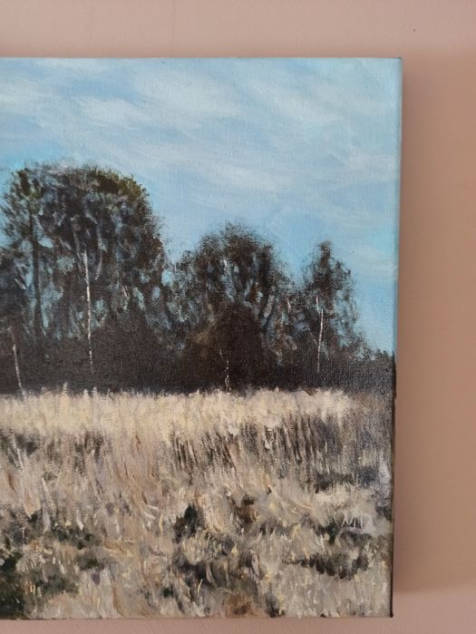 Obraz akrylowy Zima 30x30