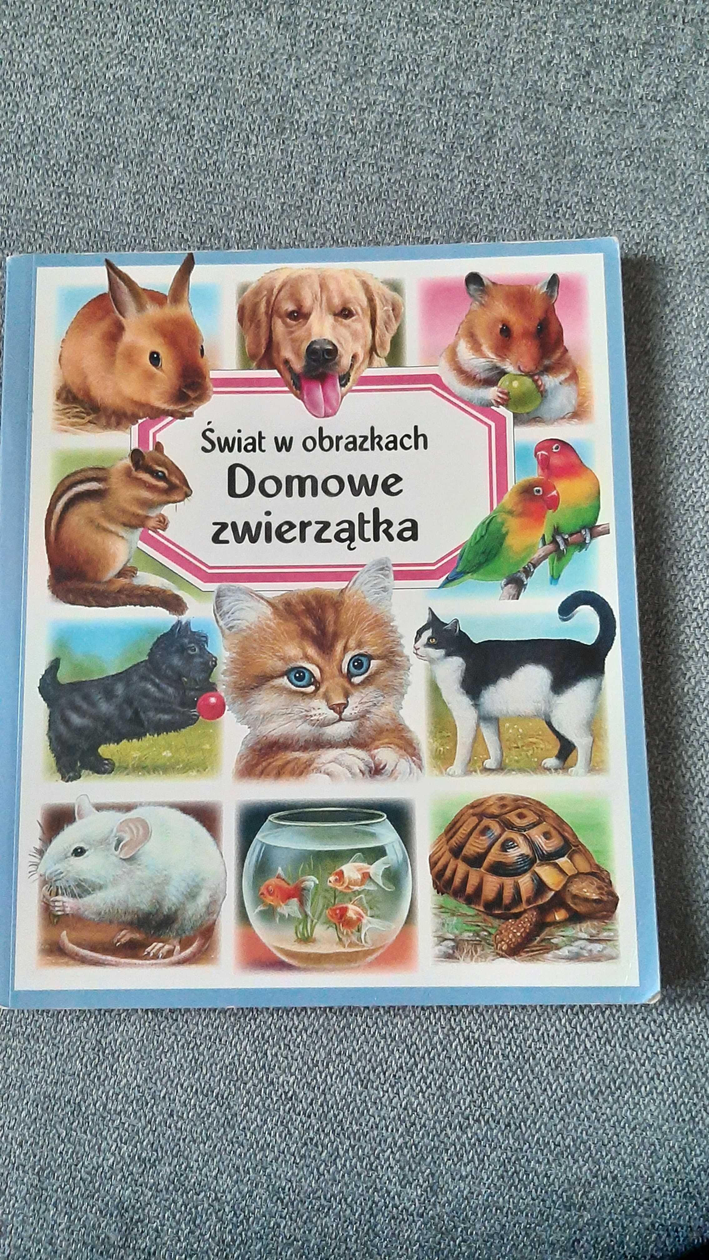 Domowe zwierzęta Colette Hus-David Raffaella Cosco Świat w obrazkach