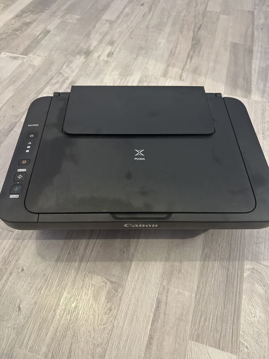 Принтер БФП Canon Pixma MG2555S (0727C026)