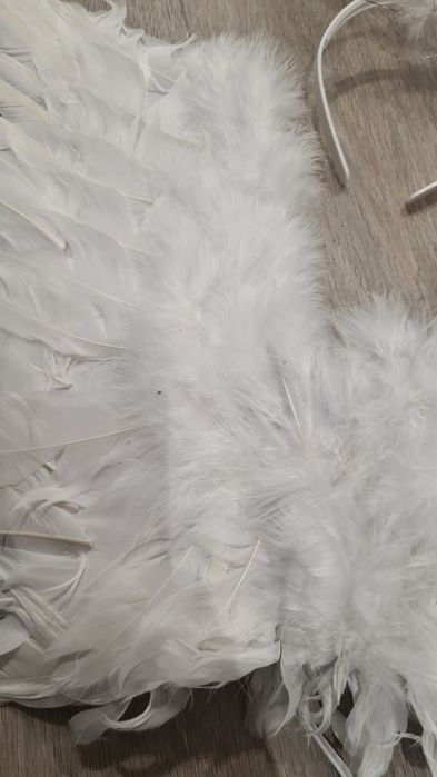 Skrzydła anioła + aureola